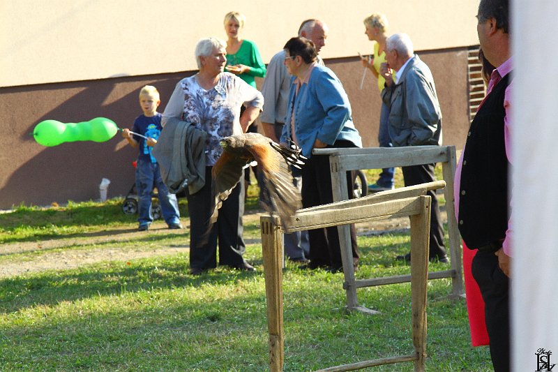 Jurmak  2015   174.JPG