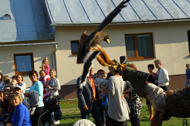 Jurmak  2015   177.JPG