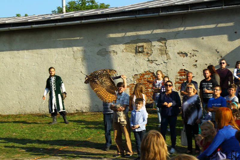 Jurmak  2015   183.JPG