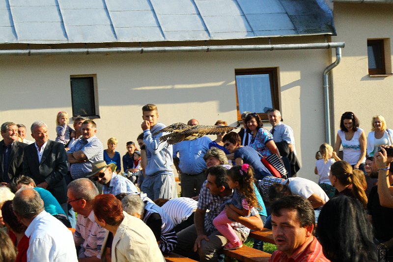 Jurmak  2015   184.JPG