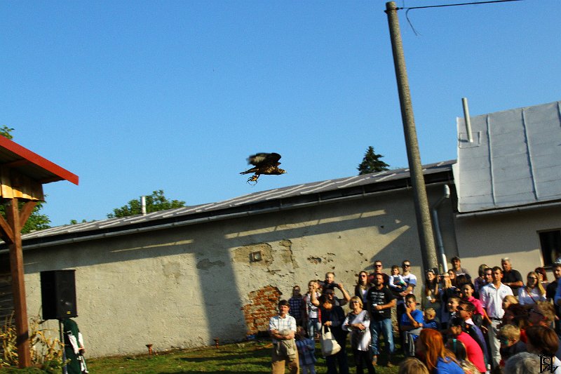Jurmak  2015   190.JPG