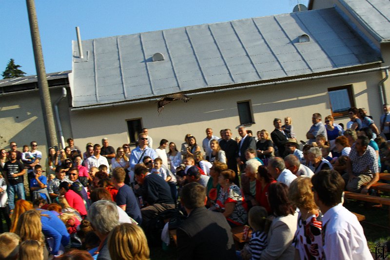 Jurmak  2015   191.JPG