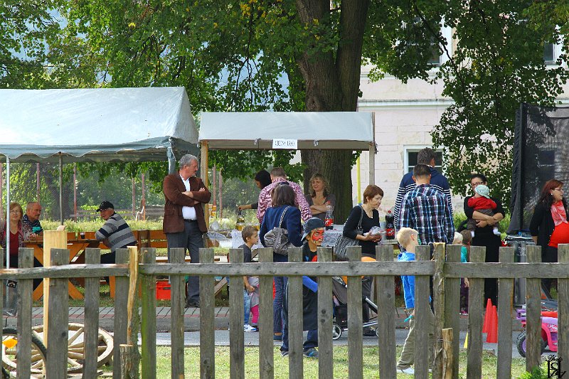 Jurmak  2015   34.JPG
