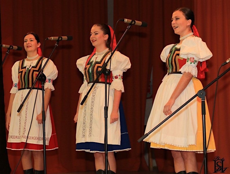 Dochodcove 2017   57.JPG