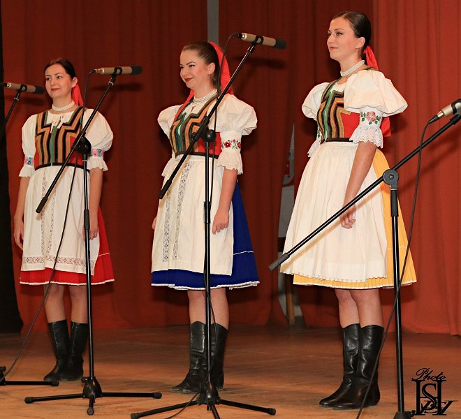 Dochodcove 2017   58.JPG