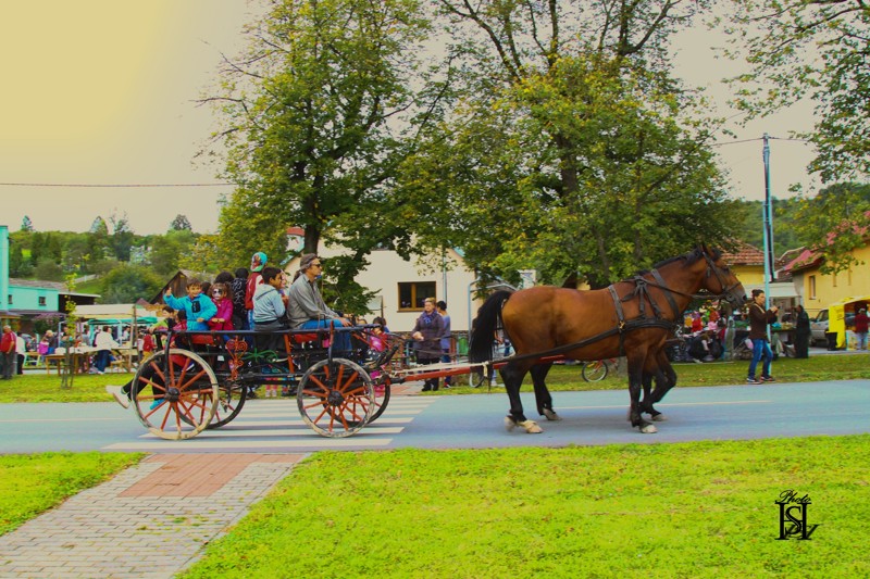 Jurmak 2017   118.jpg