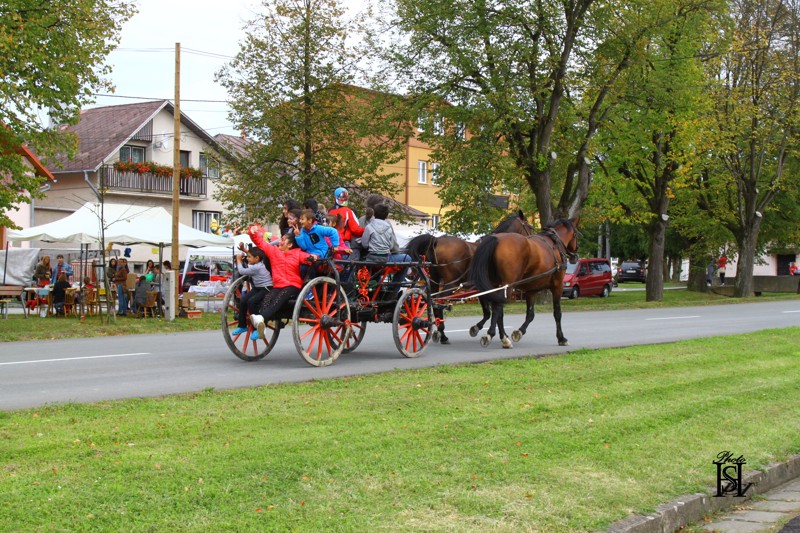 Jurmak 2017   119.JPG