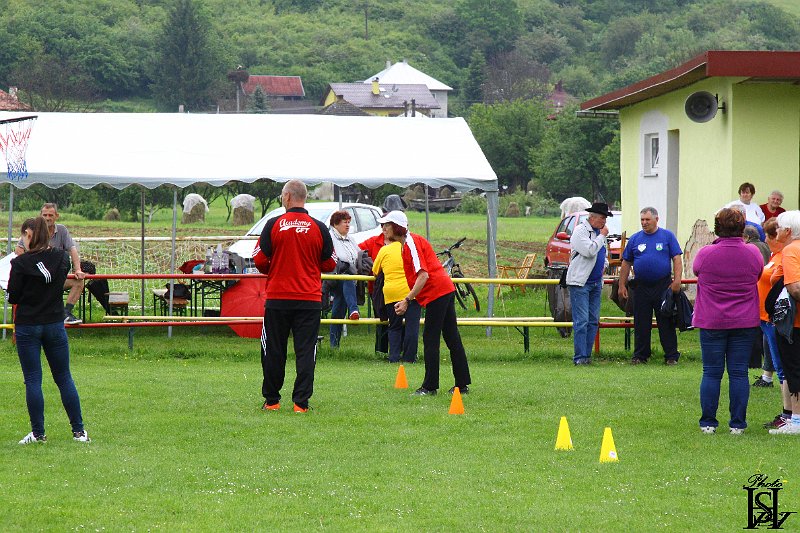 Sporotvy_hry_seniorov   100.JPG