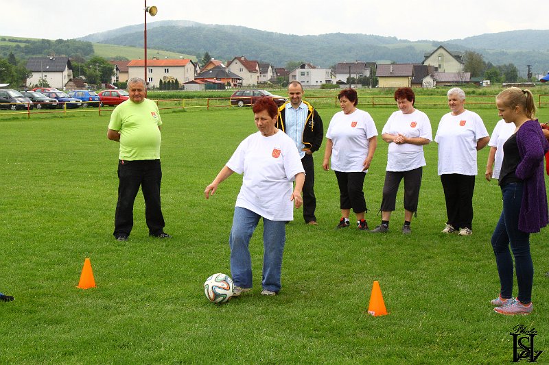 Sporotvy_hry_seniorov   106.JPG