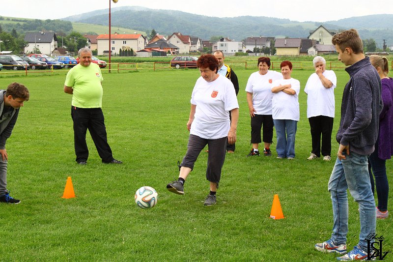 Sporotvy_hry_seniorov   107.JPG