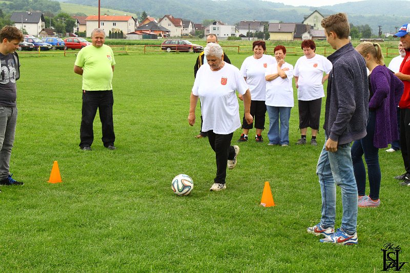 Sporotvy_hry_seniorov   108.JPG