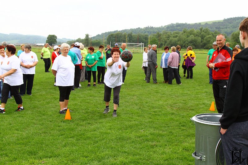 Sporotvy_hry_seniorov   120.JPG
