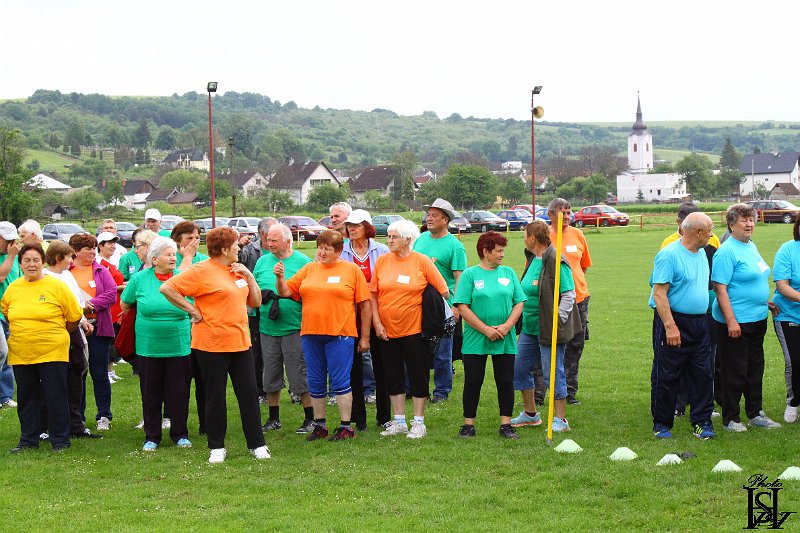 Sporotvy_hry_seniorov   135.JPG