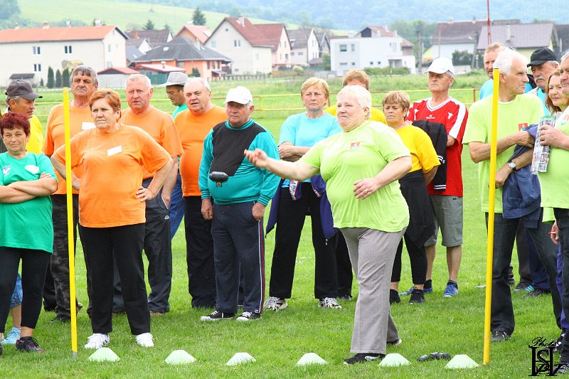 Sporotvy_hry_seniorov   140.JPG