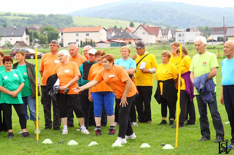 Sporotvy_hry_seniorov   141.JPG
