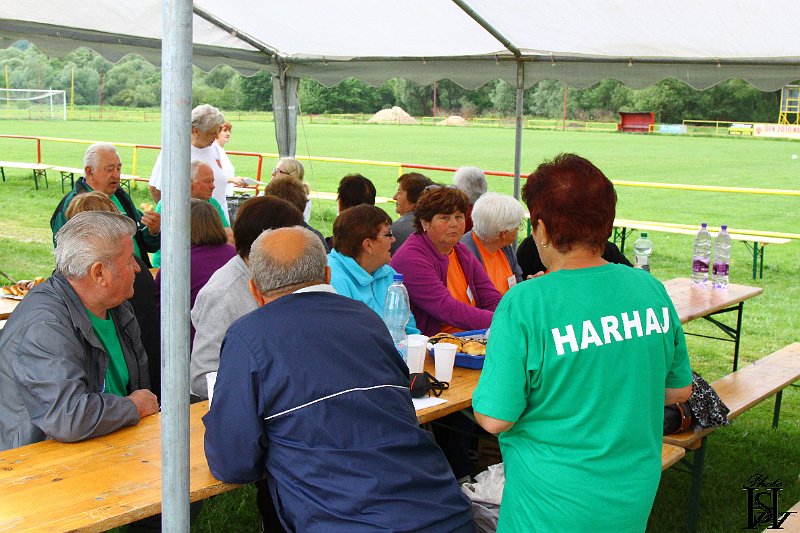 Sporotvy_hry_seniorov   15.JPG