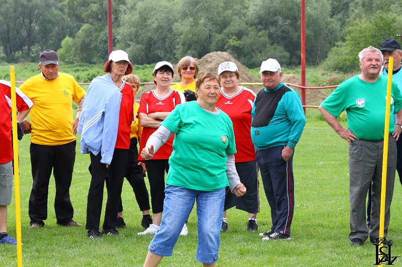 Sporotvy_hry_seniorov   166.JPG