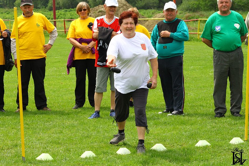 Sporotvy_hry_seniorov   172.JPG