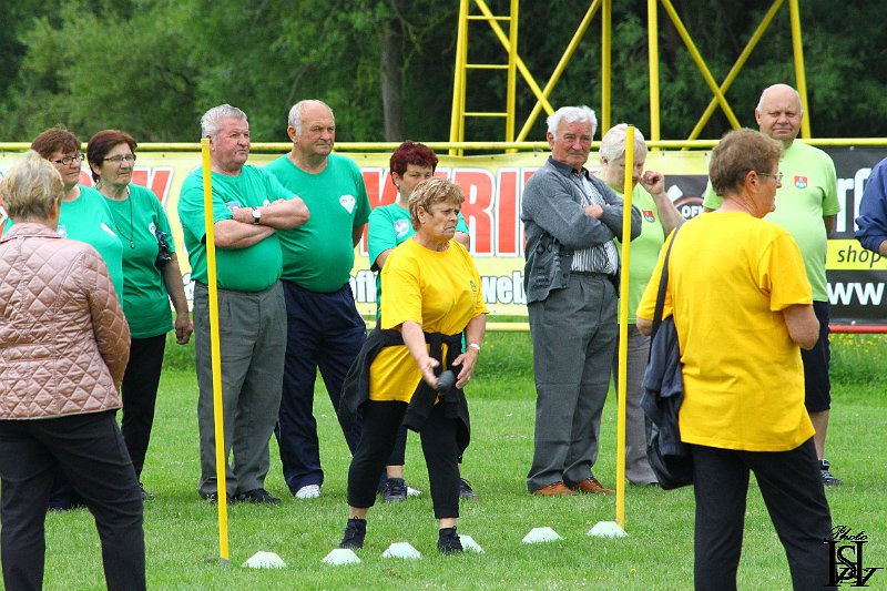 Sporotvy_hry_seniorov   195.JPG