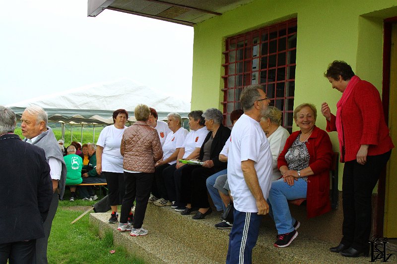 Sporotvy_hry_seniorov   20.JPG