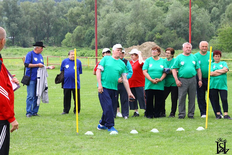 Sporotvy_hry_seniorov   213.JPG