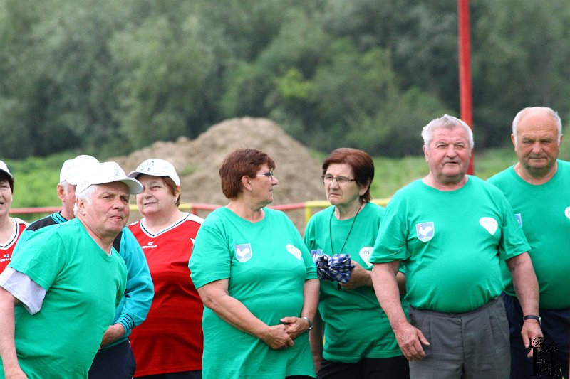 Sporotvy_hry_seniorov   214.JPG