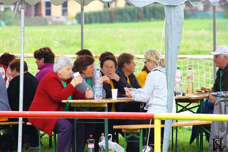 Sporotvy_hry_seniorov   248.JPG