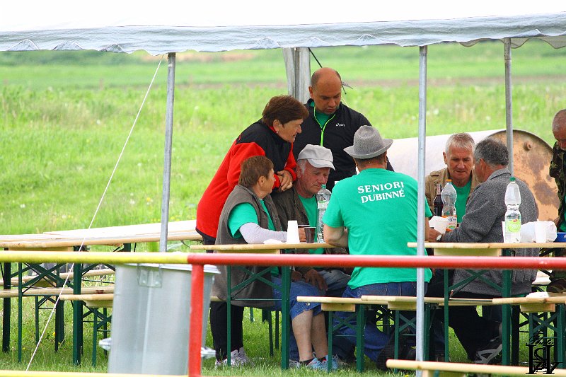 Sporotvy_hry_seniorov   250.JPG
