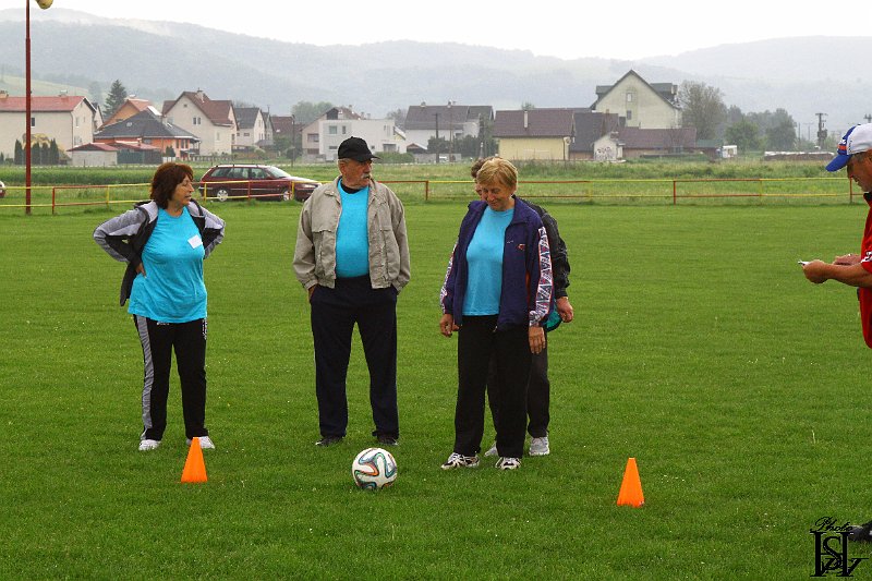 Sporotvy_hry_seniorov   28.JPG