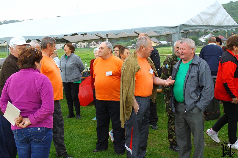 Sporotvy_hry_seniorov   37.JPG