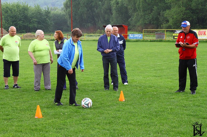 Sporotvy_hry_seniorov   38.JPG