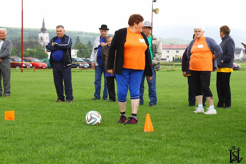 Sporotvy_hry_seniorov   44.JPG