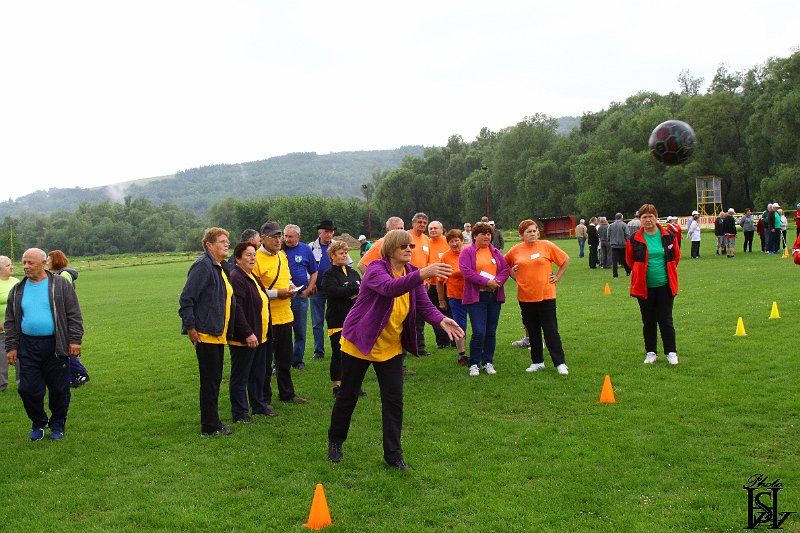 Sporotvy_hry_seniorov   75.JPG