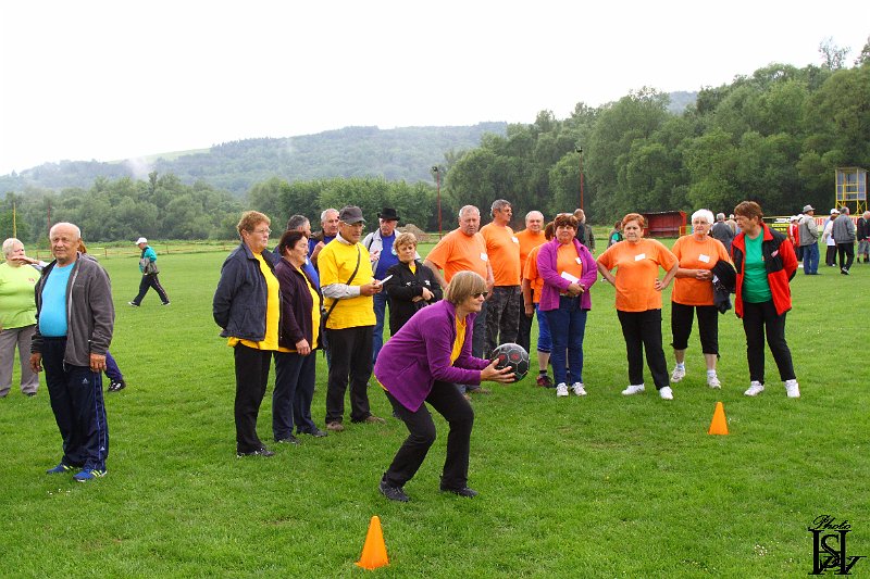 Sporotvy_hry_seniorov   76.JPG