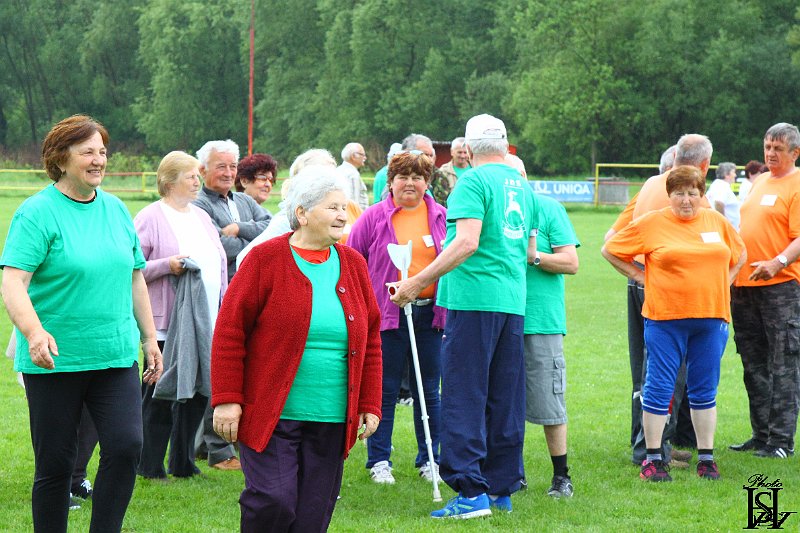Sporotvy_hry_seniorov   87.JPG