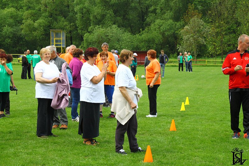 Sporotvy_hry_seniorov   91.JPG