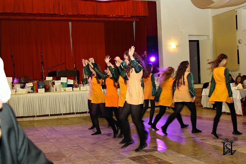 Ples2018   (33).JPG