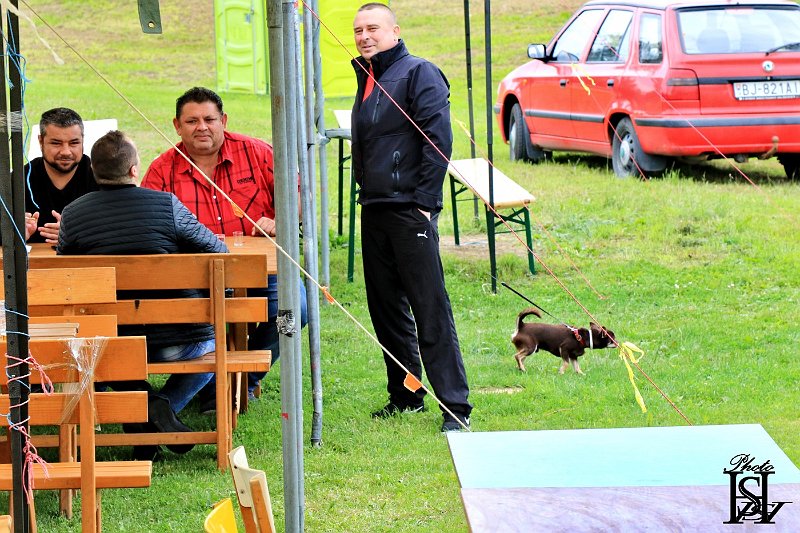 SD-nedela-2018  69.JPG