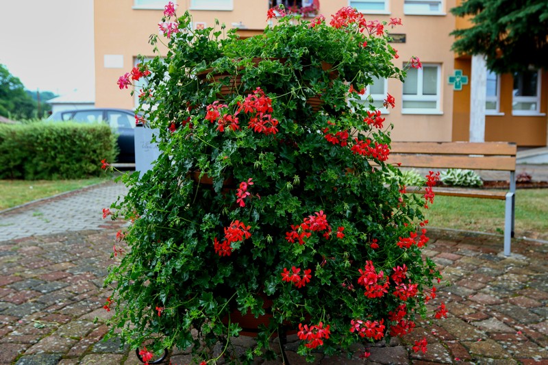 Cestou necestou 1.jpg