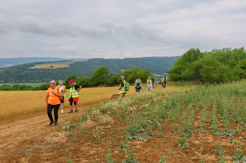 Cestou necestou 10.jpg