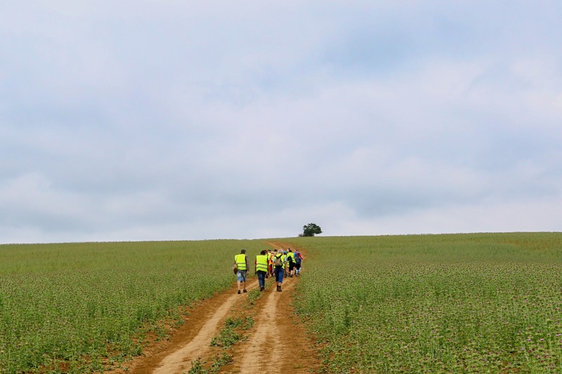 Cestou necestou 13.jpg