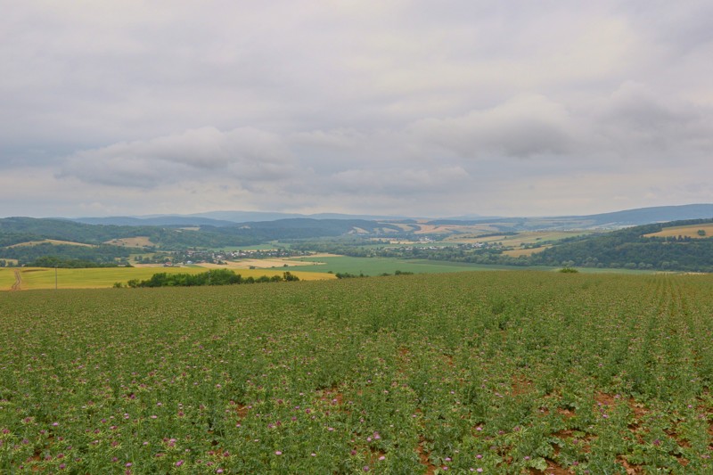 Cestou necestou 15.jpg