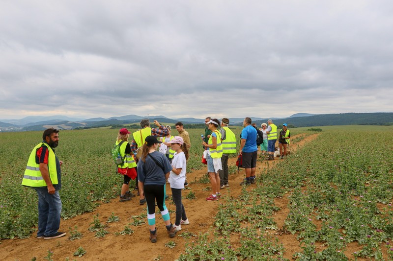 Cestou necestou 16.jpg