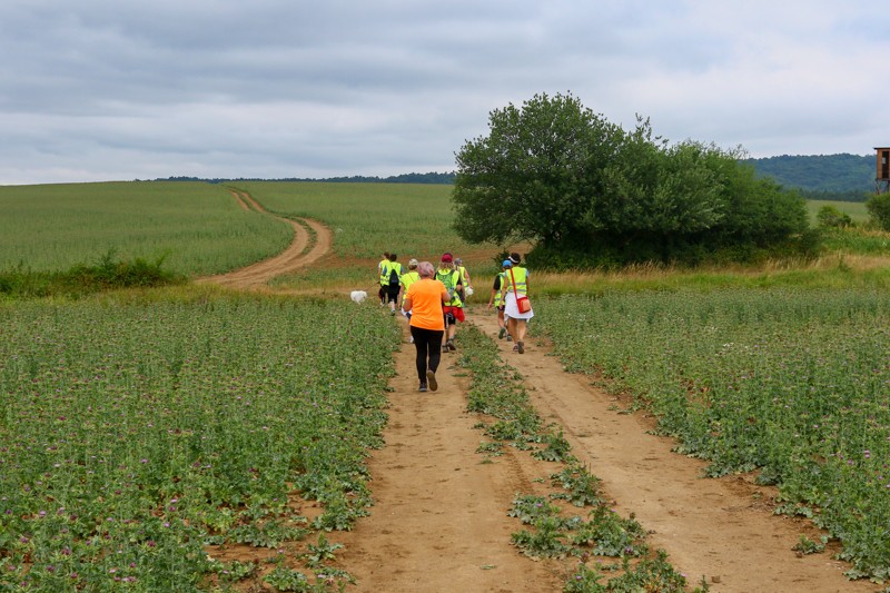 Cestou necestou 17.jpg