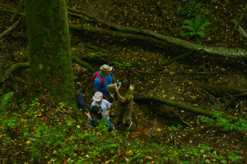 Cestou necestou 19.jpg