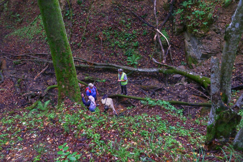 Cestou necestou 21.jpg