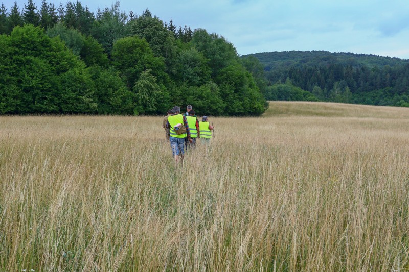 Cestou necestou 23.jpg