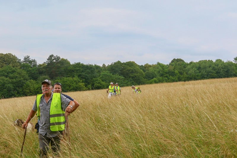 Cestou necestou 25.jpg