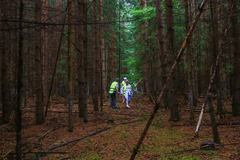 Cestou necestou 26.jpg