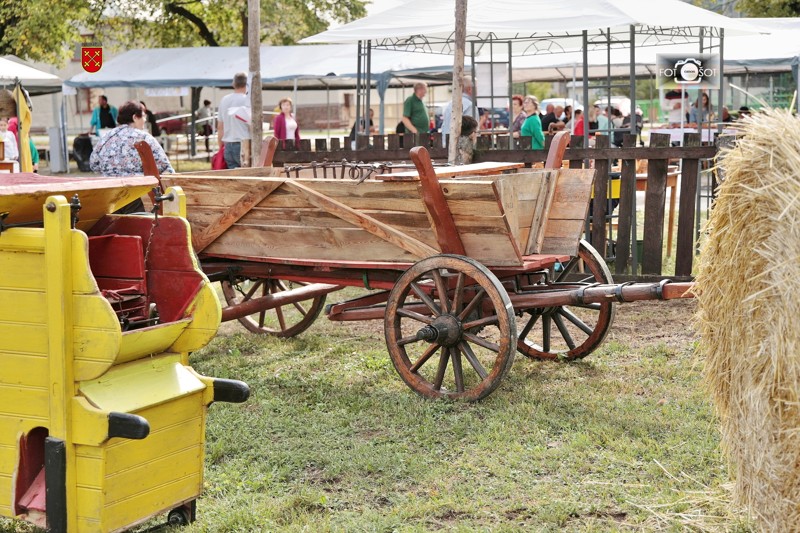 fotosotcKurima 2022- 171.jpg